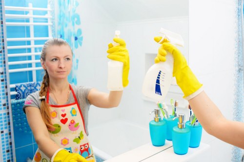Oven cleaning in Islington with a spotless kitchen appliance