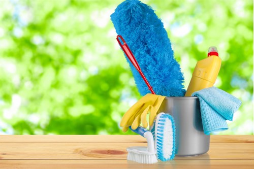 Deep cleaning specialist working in an Islington property