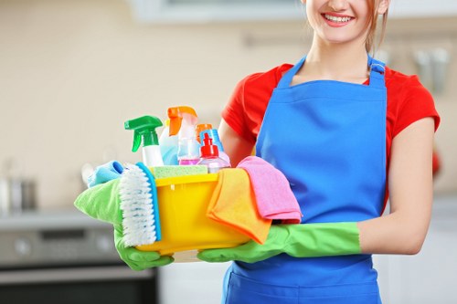 Oven cleaning pricing introduction for an Islington home kitchen