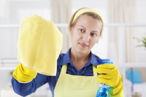 Professional deep cleaning in Islington for a spotless home