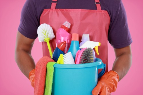 Professional carpet cleaning in an Islington home interior