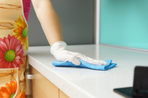 Deep cleaning a bathroom during end of tenancy cleaning in Islington