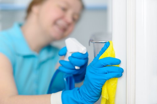 Thorough move-out cleaning in an Islington flat living room
