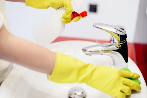 Professional cleaners providing home cleaning services in Islington