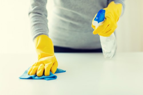 Professional carpet cleaner in Islington deep cleaning a living room carpet