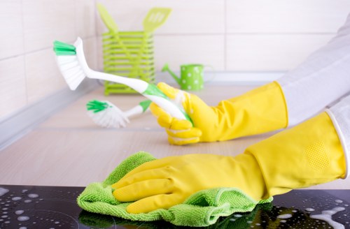 Domestic cleaning service for a modern Islington kitchen